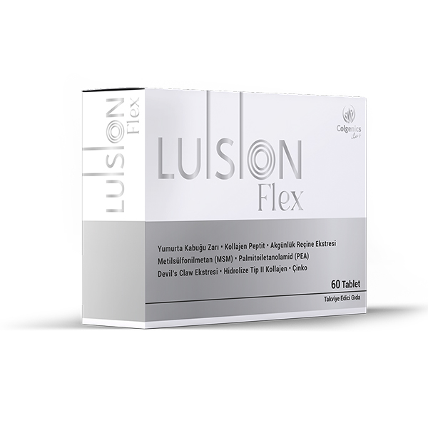 LUİSİON FLEX 60 TB